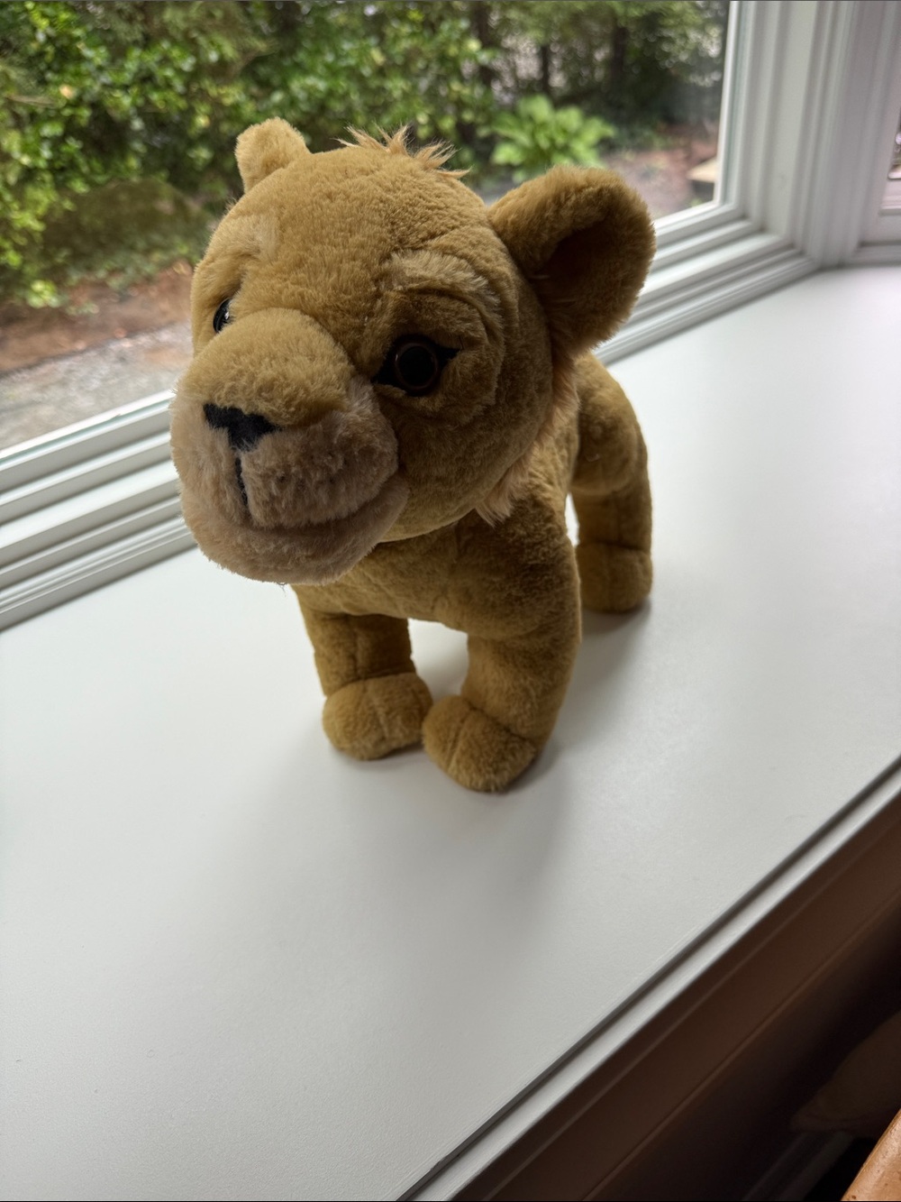 Disney Plush Lion Cub